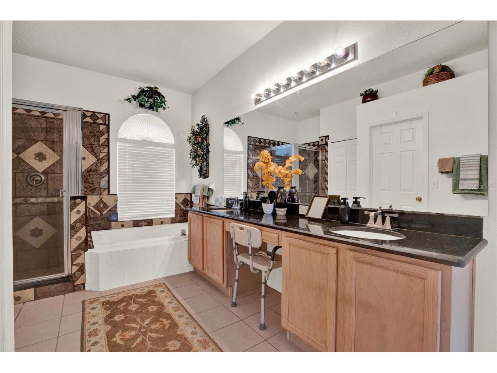 18123 Kara Court Tampa FL 33647 TB8505316 image30