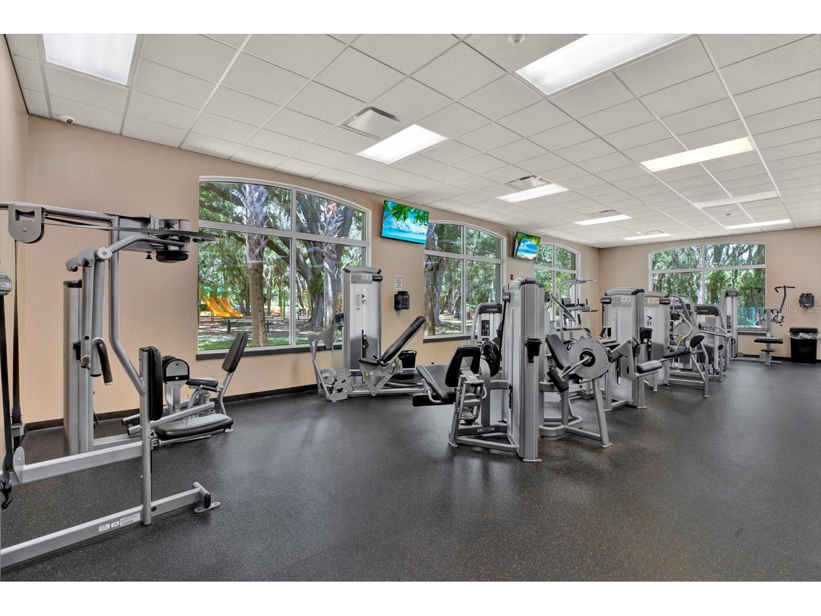 18123 Kara Court Tampa FL 33647 TB8505316 image55