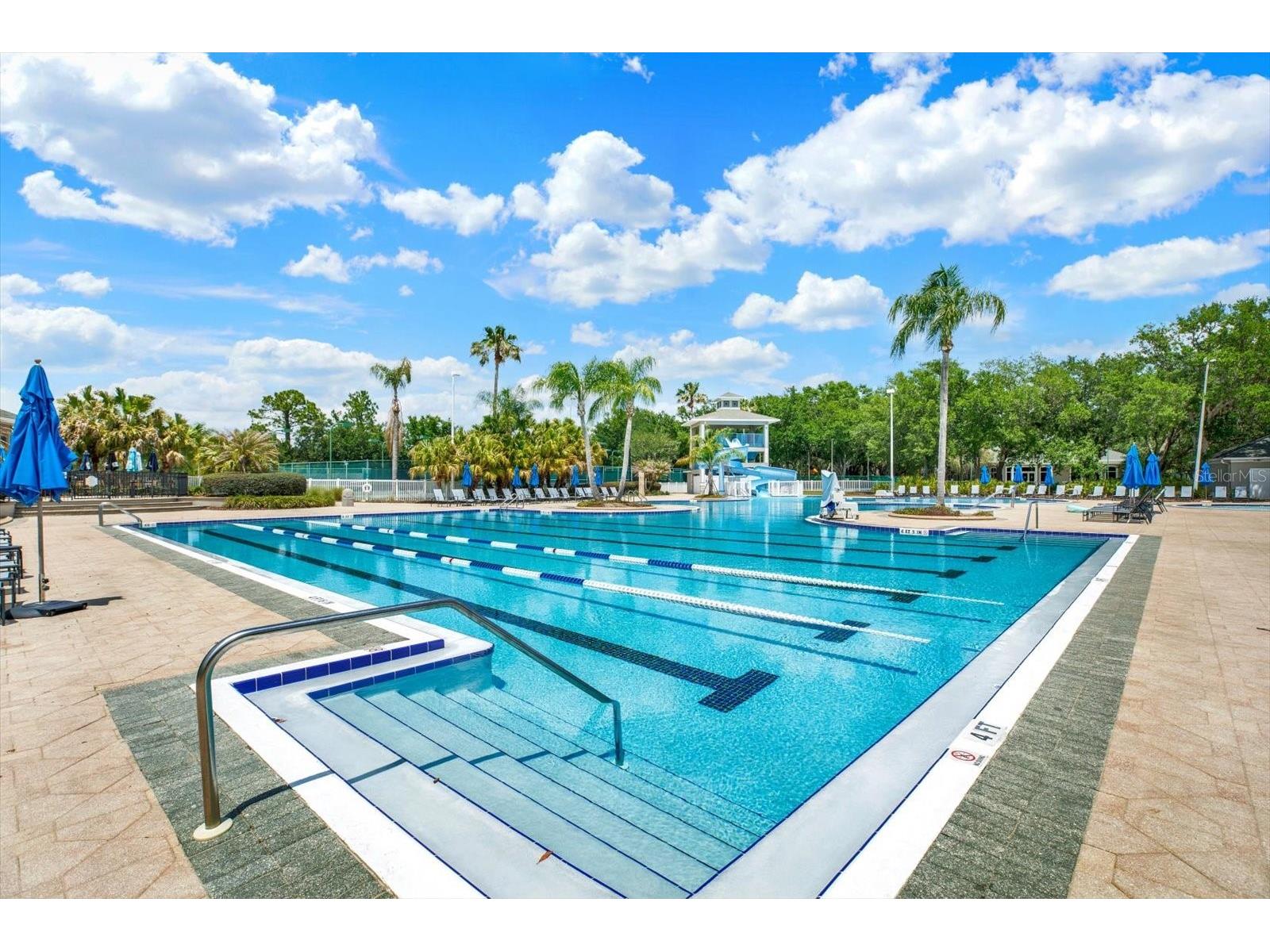 18123 Kara Court Tampa FL 33647 TB8505316 image60