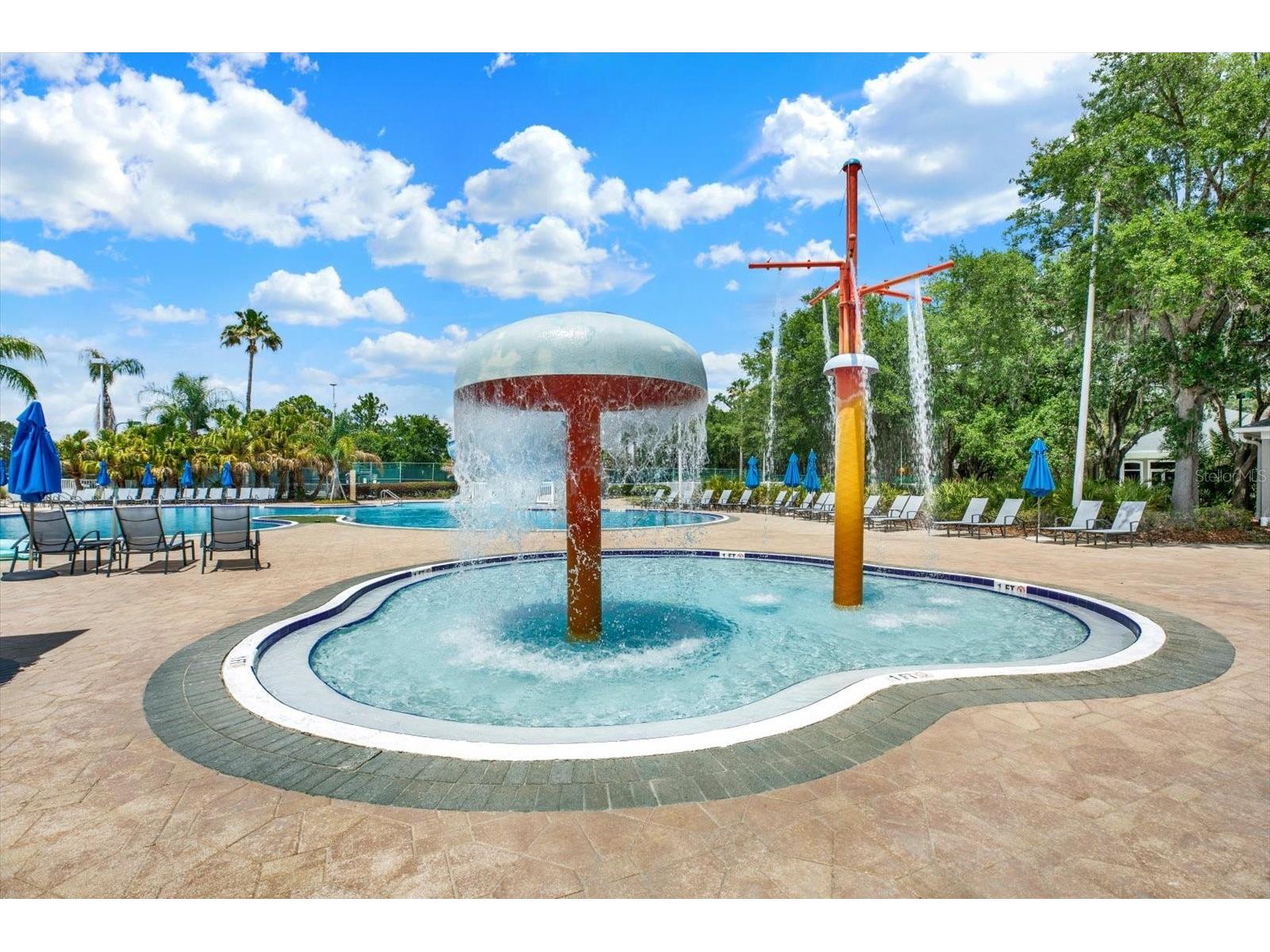 18123 Kara Court Tampa FL 33647 TB8505316 image61