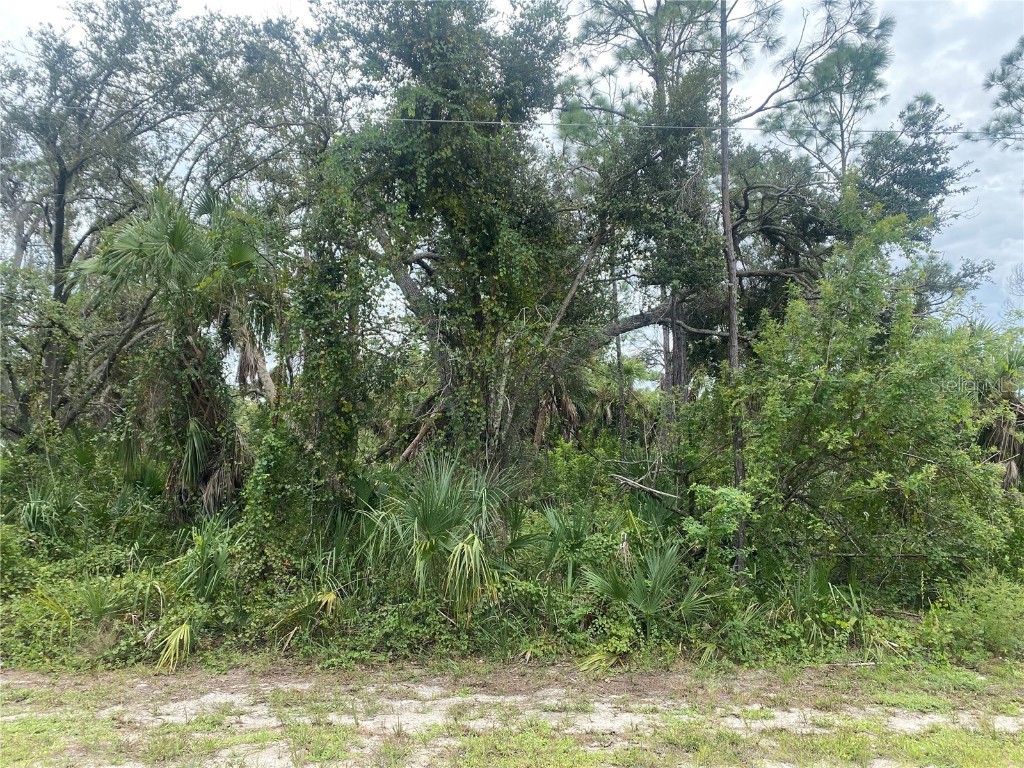 18124 Vincent Avenue Port Charlotte FL 33954 C7481921 image1