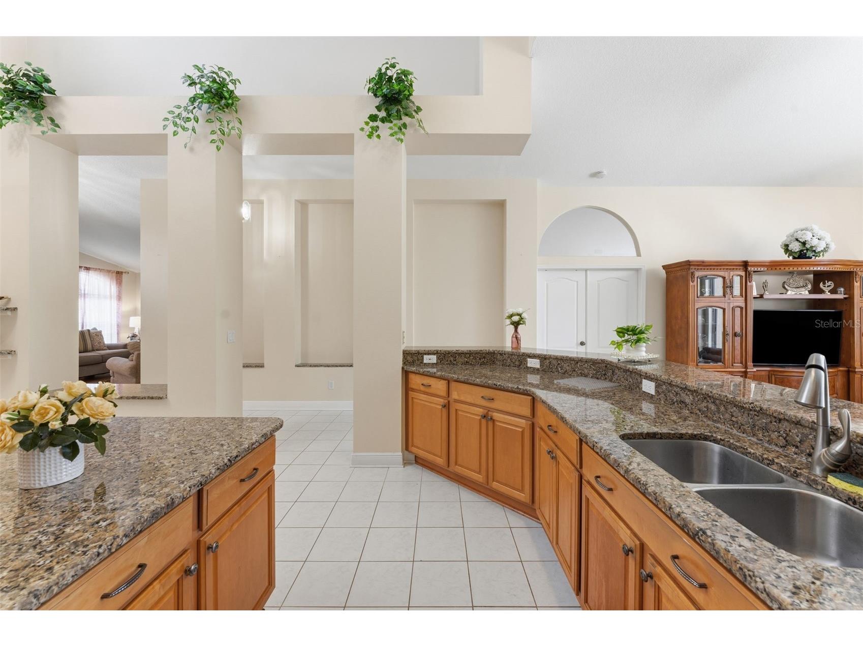 18125 Sweet Jasmine Drive Tampa FL 33647 TB8489187 image15