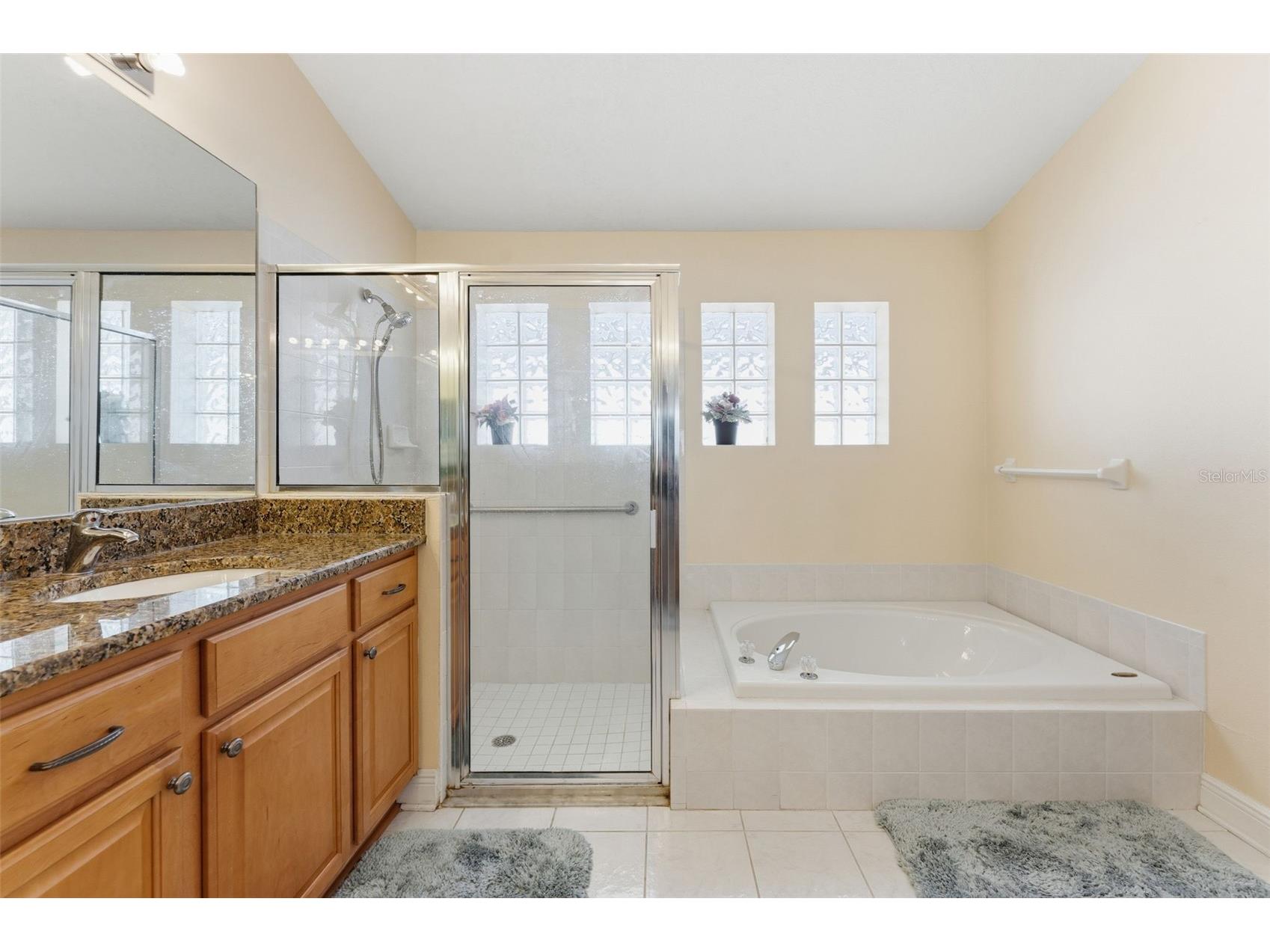 18125 Sweet Jasmine Drive Tampa FL 33647 TB8489187 image23