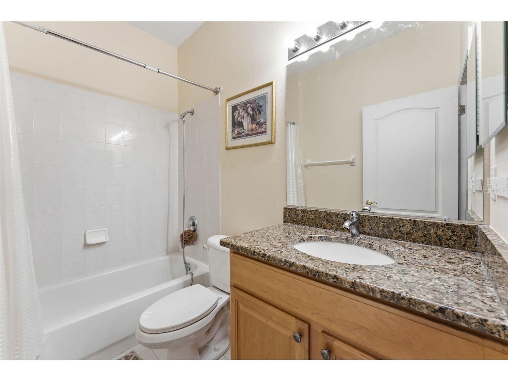 18125 Sweet Jasmine Drive Tampa FL 33647 TB8489187 image33