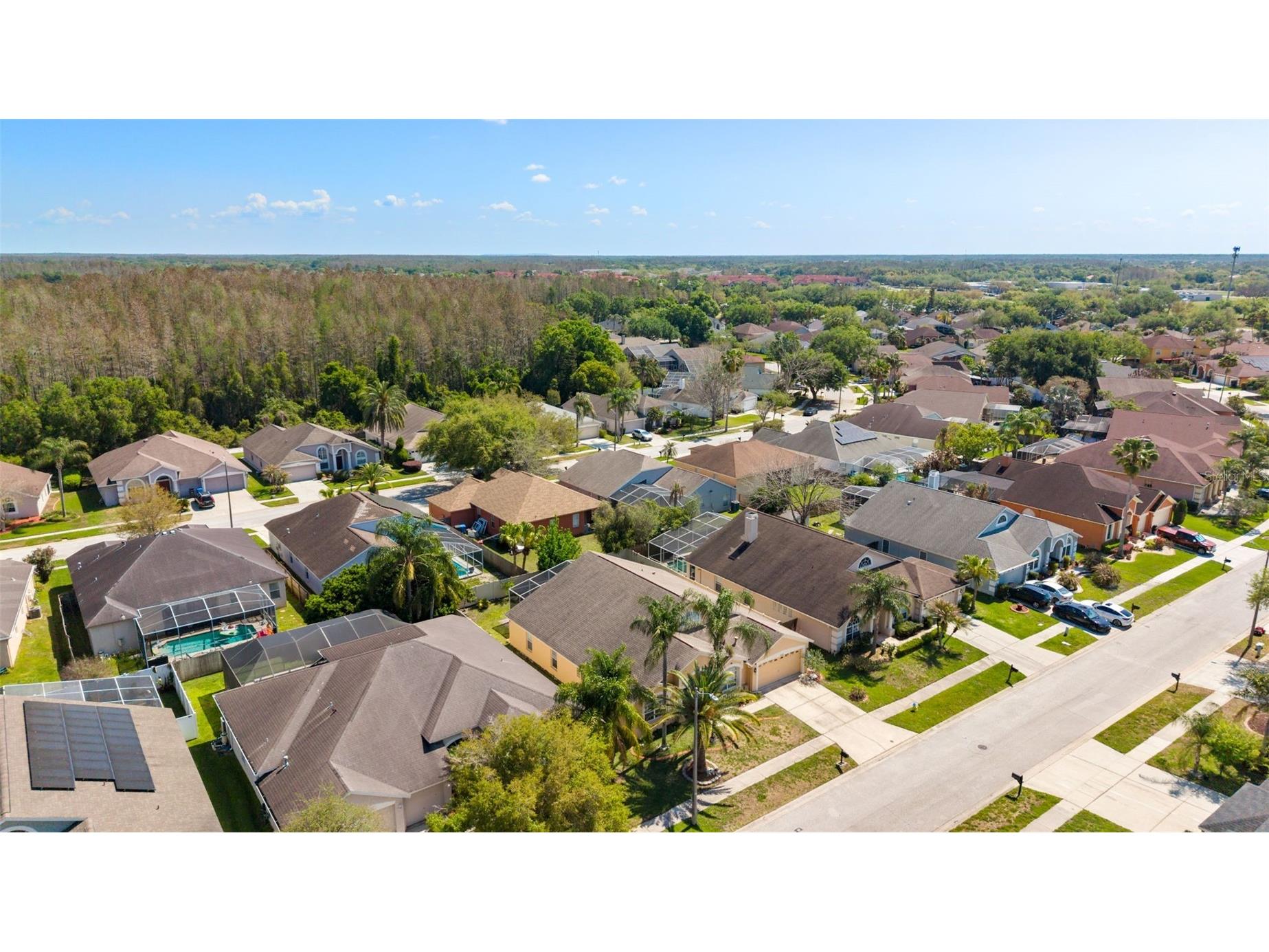 18125 Sweet Jasmine Drive Tampa FL 33647 TB8489187 image44