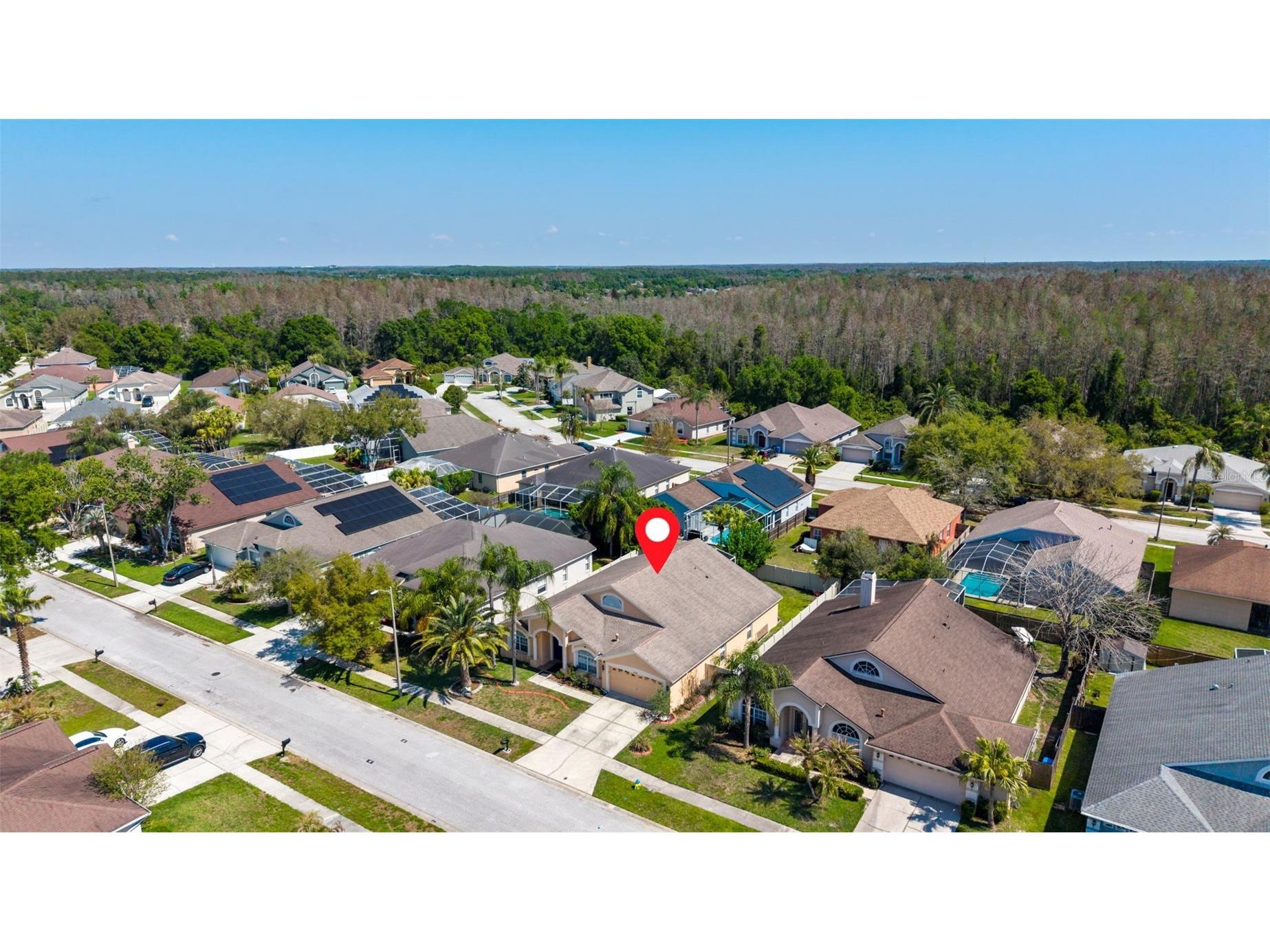 18125 Sweet Jasmine Drive Tampa FL 33647 TB8489187 image45