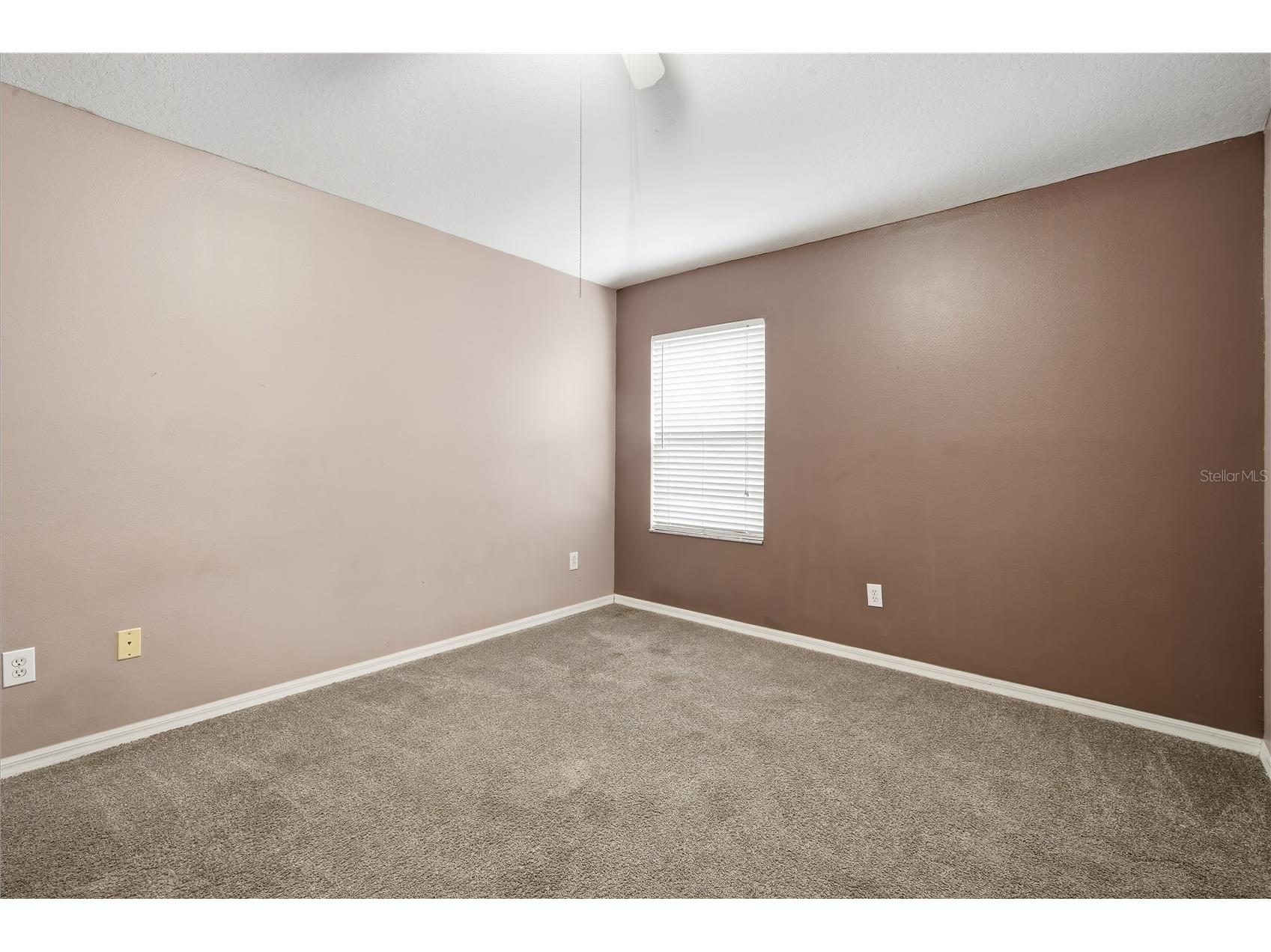 18126 Birdwater Drive Tampa FL 33647 TB8532373 image17