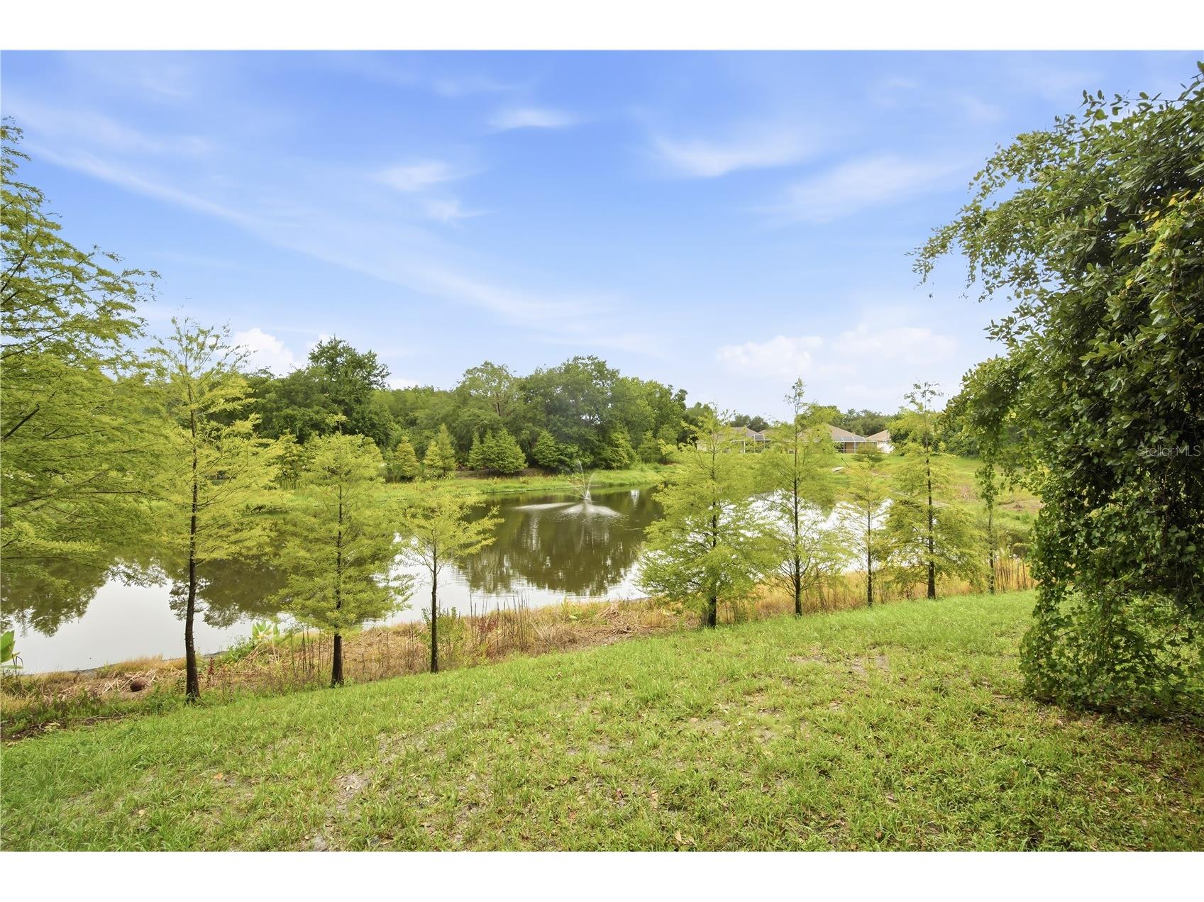 18126 Birdwater Drive Tampa FL 33647 TB8532373 image22