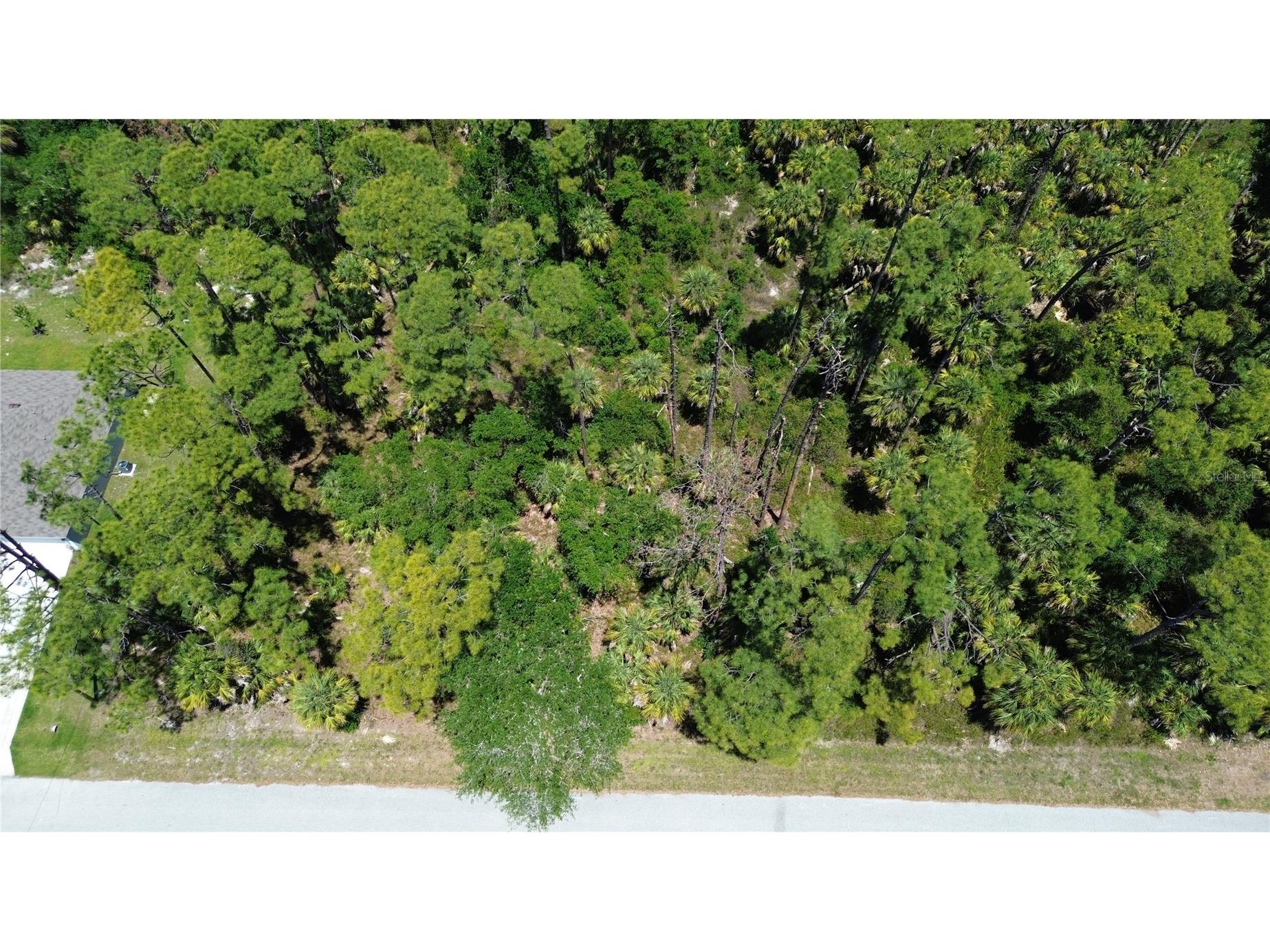 18126 Dillon Avenue Port Charlotte FL 33954 C7525259 image3