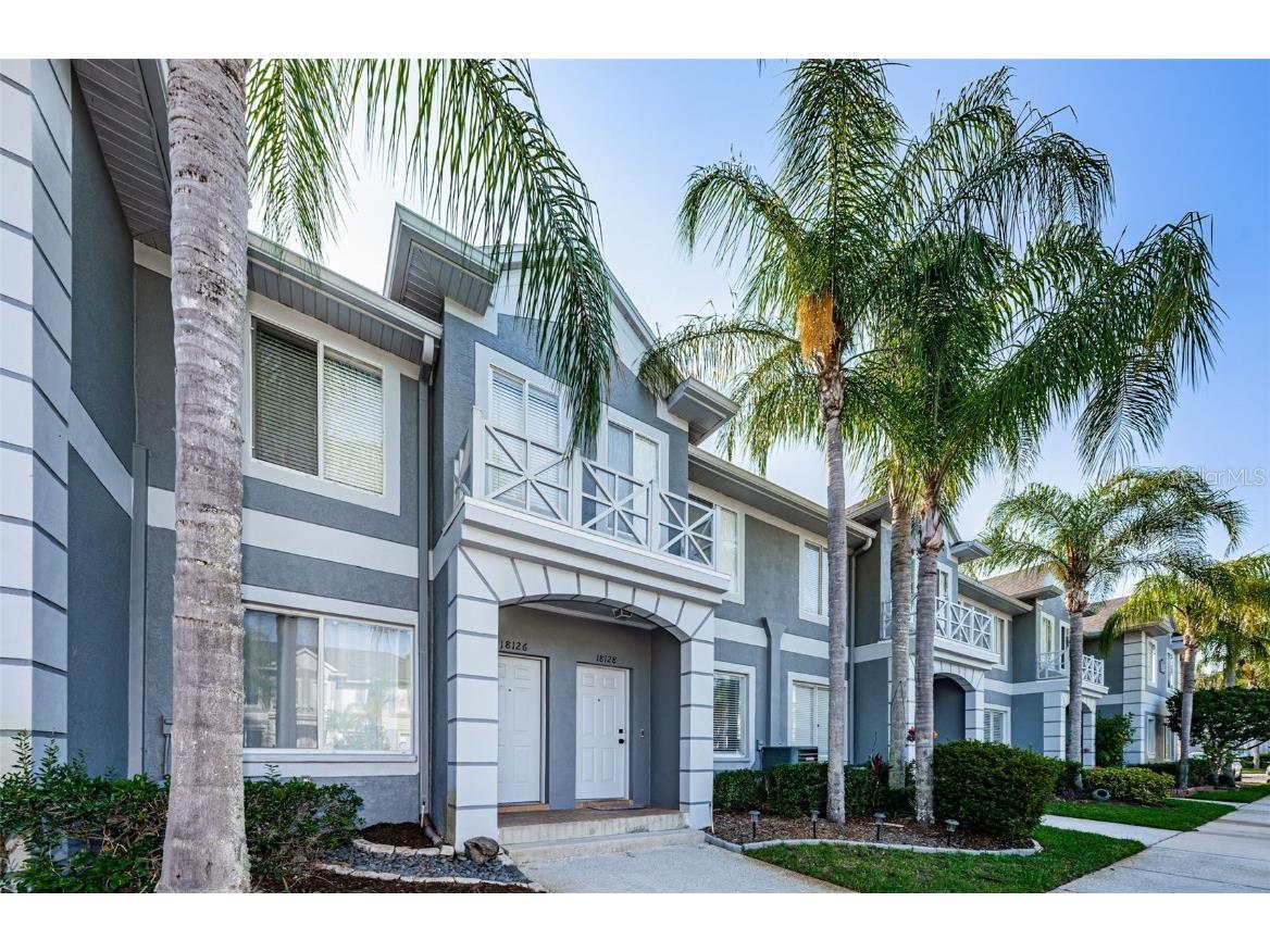 18126 Paradise Point Drive Tampa FL 33647 T3526298 image1