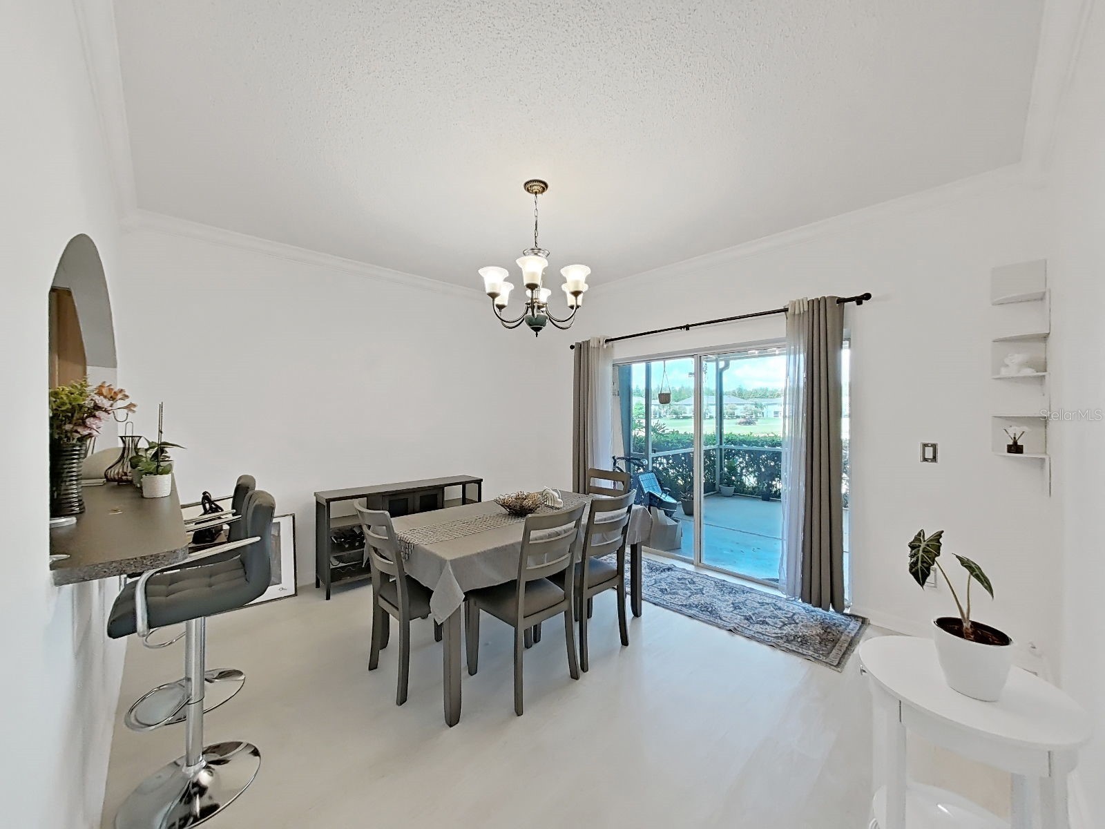 18126 Paradise Point Drive Tampa FL 33647 TB8523012 image11