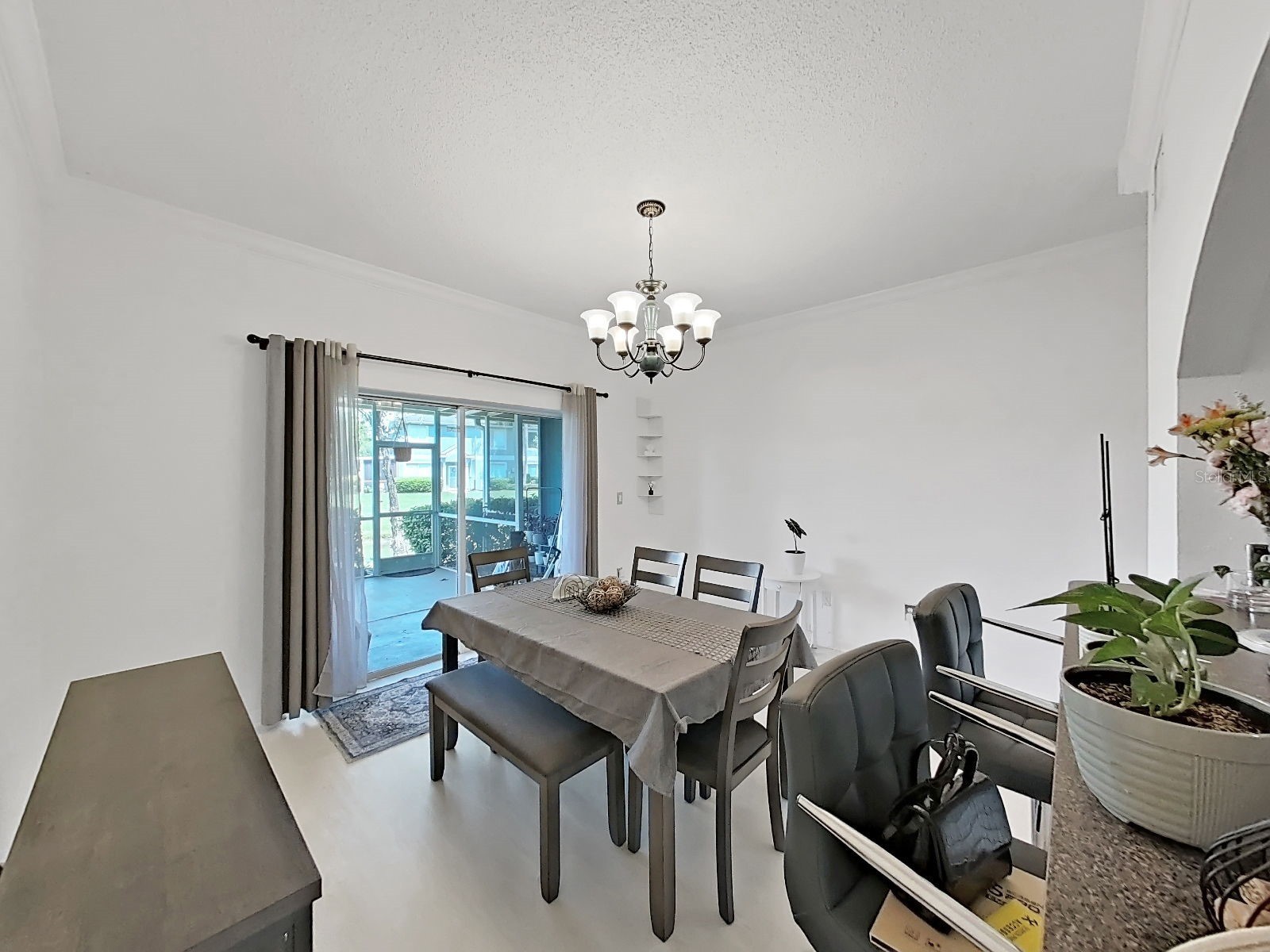 18126 Paradise Point Drive Tampa FL 33647 TB8523012 image13
