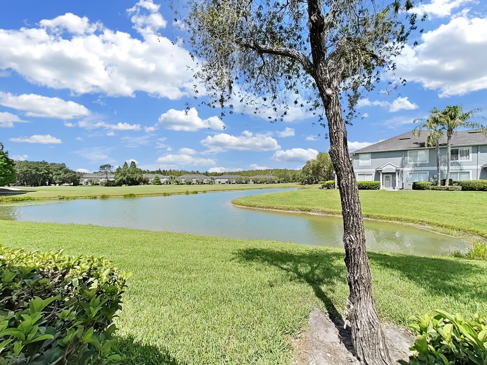 18126 Paradise Point Drive Tampa FL 33647 TB8523012 image28