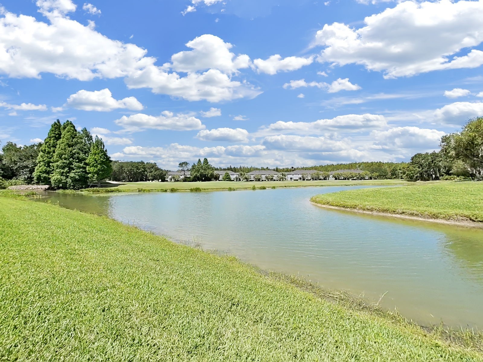 18126 Paradise Point Drive Tampa FL 33647 TB8523012 image29