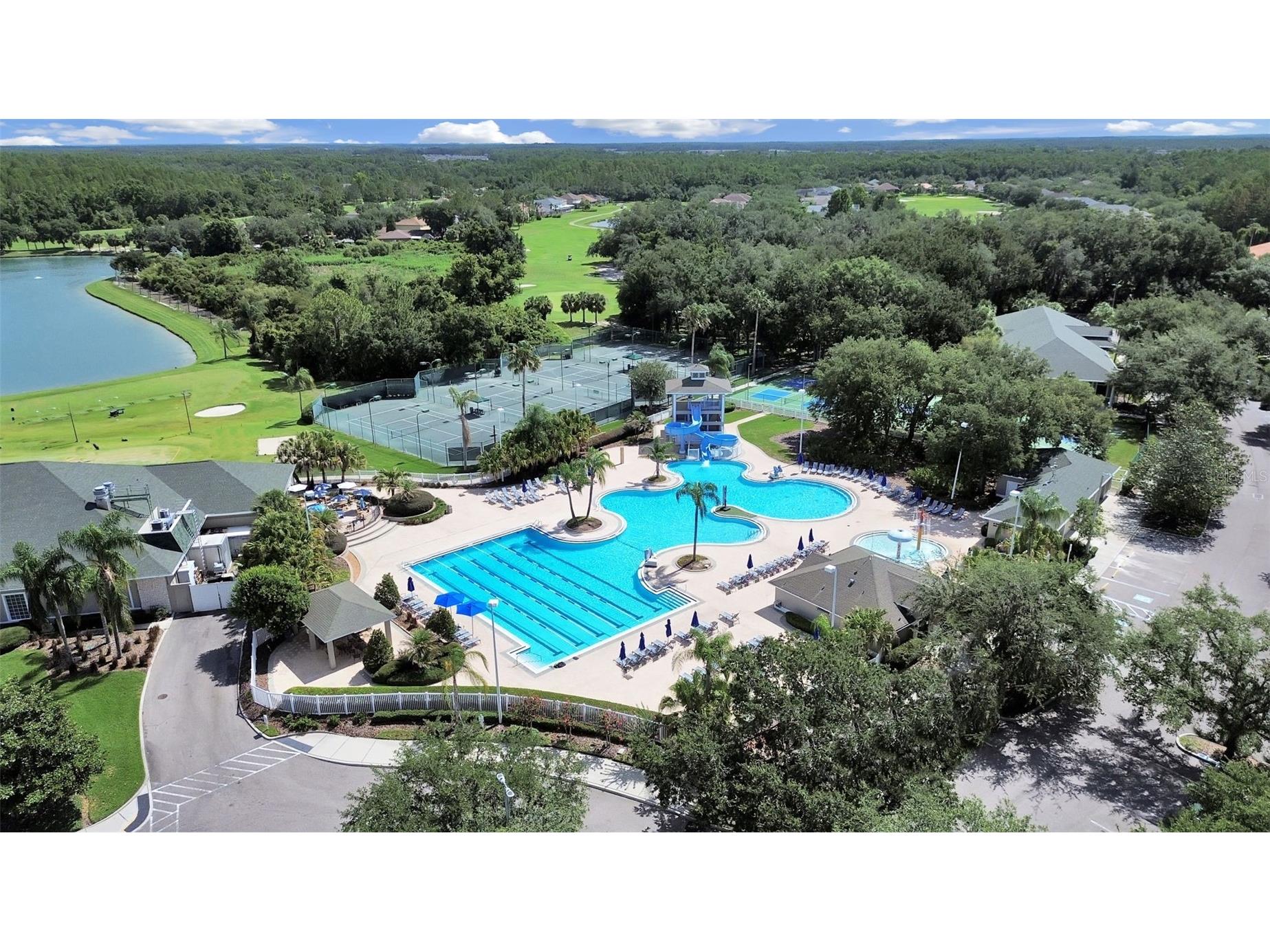 18126 Paradise Point Drive Tampa FL 33647 TB8523012 image32