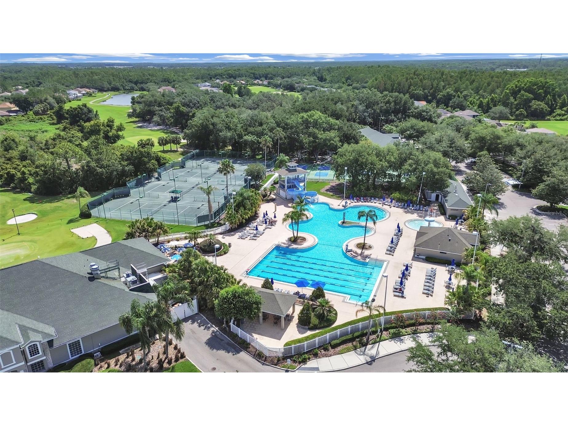 18126 Paradise Point Drive Tampa FL 33647 TB8523012 image33