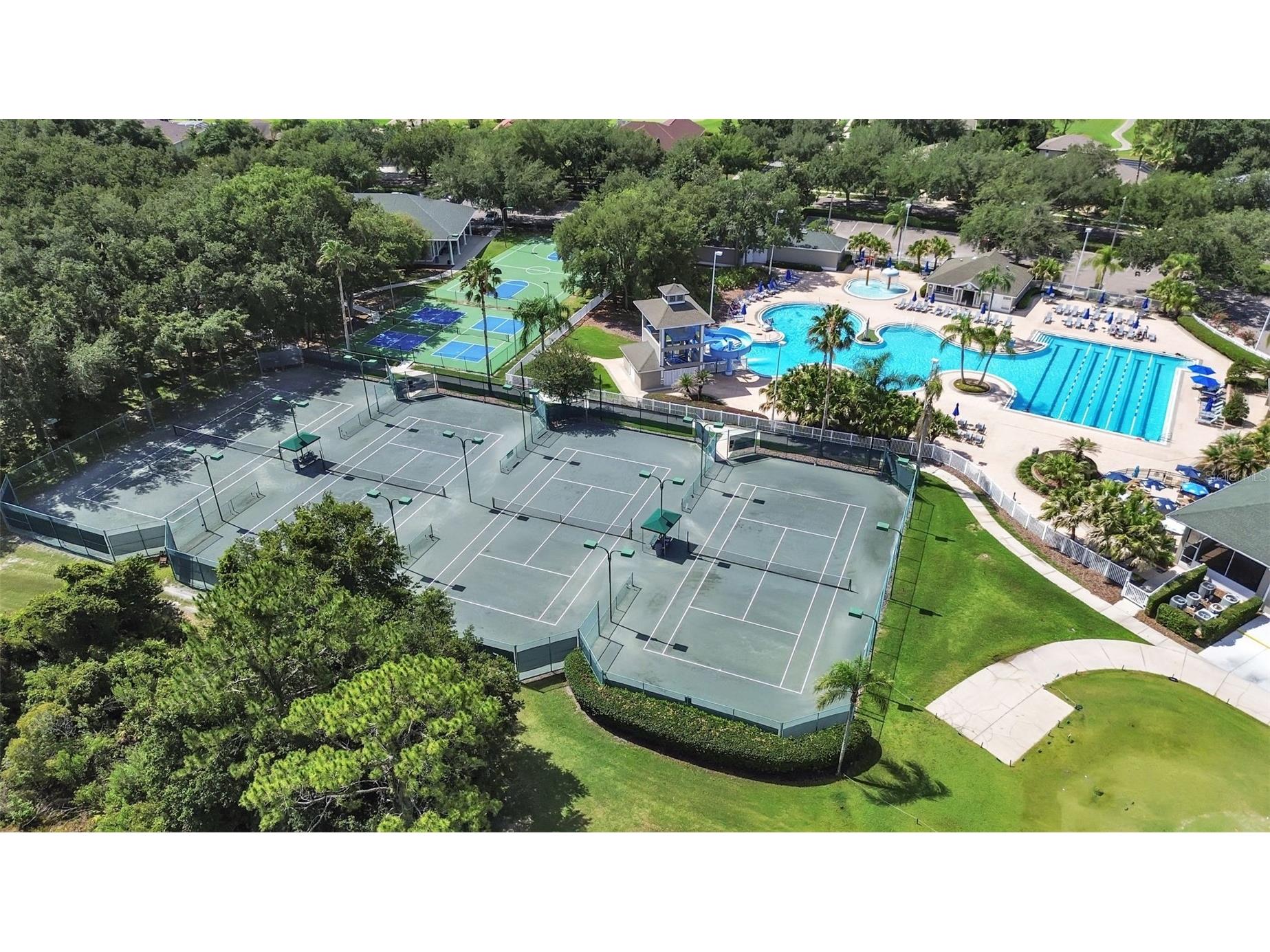 18126 Paradise Point Drive Tampa FL 33647 TB8523012 image34