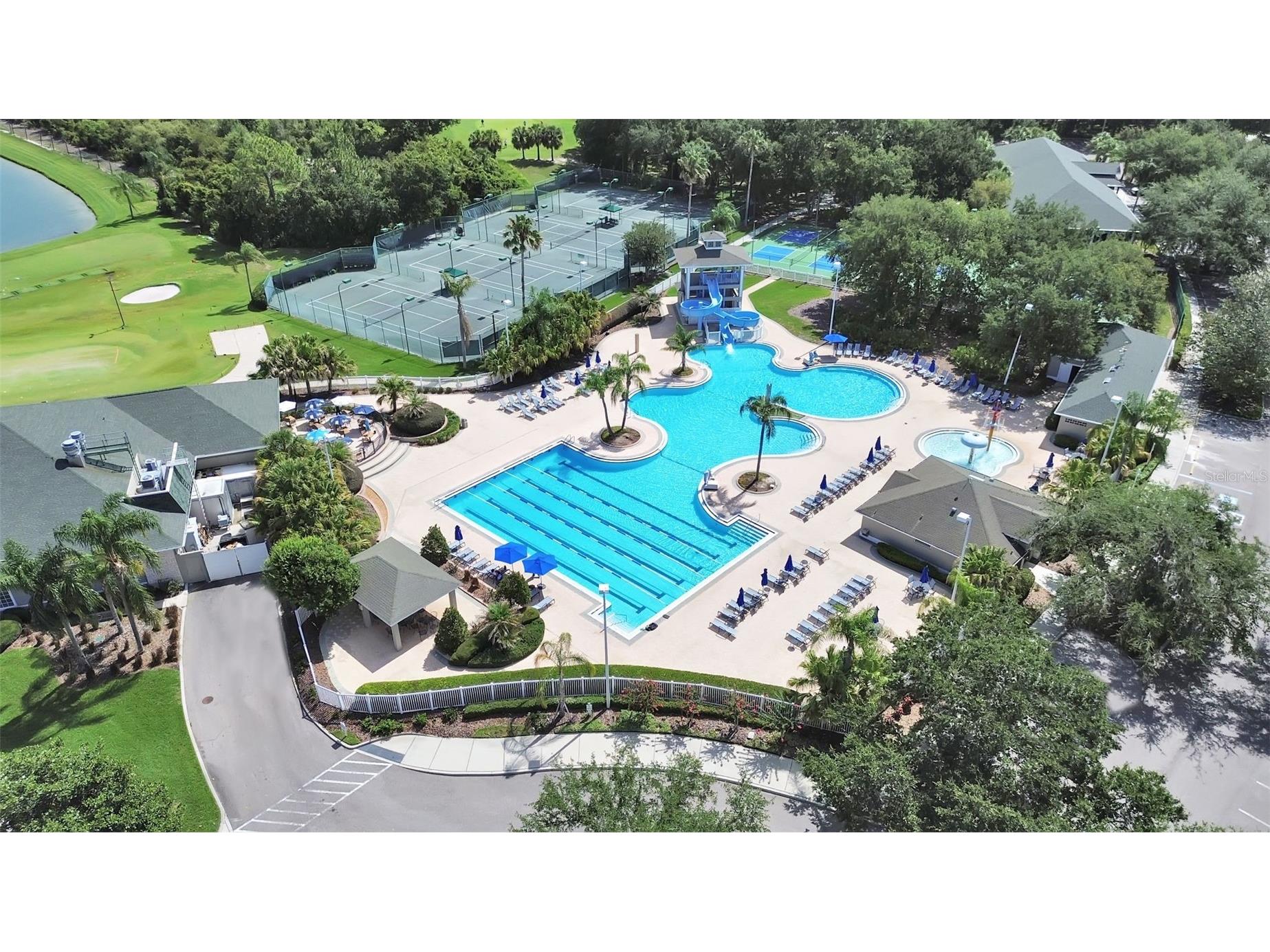 18126 Paradise Point Drive Tampa FL 33647 TB8523012 image36