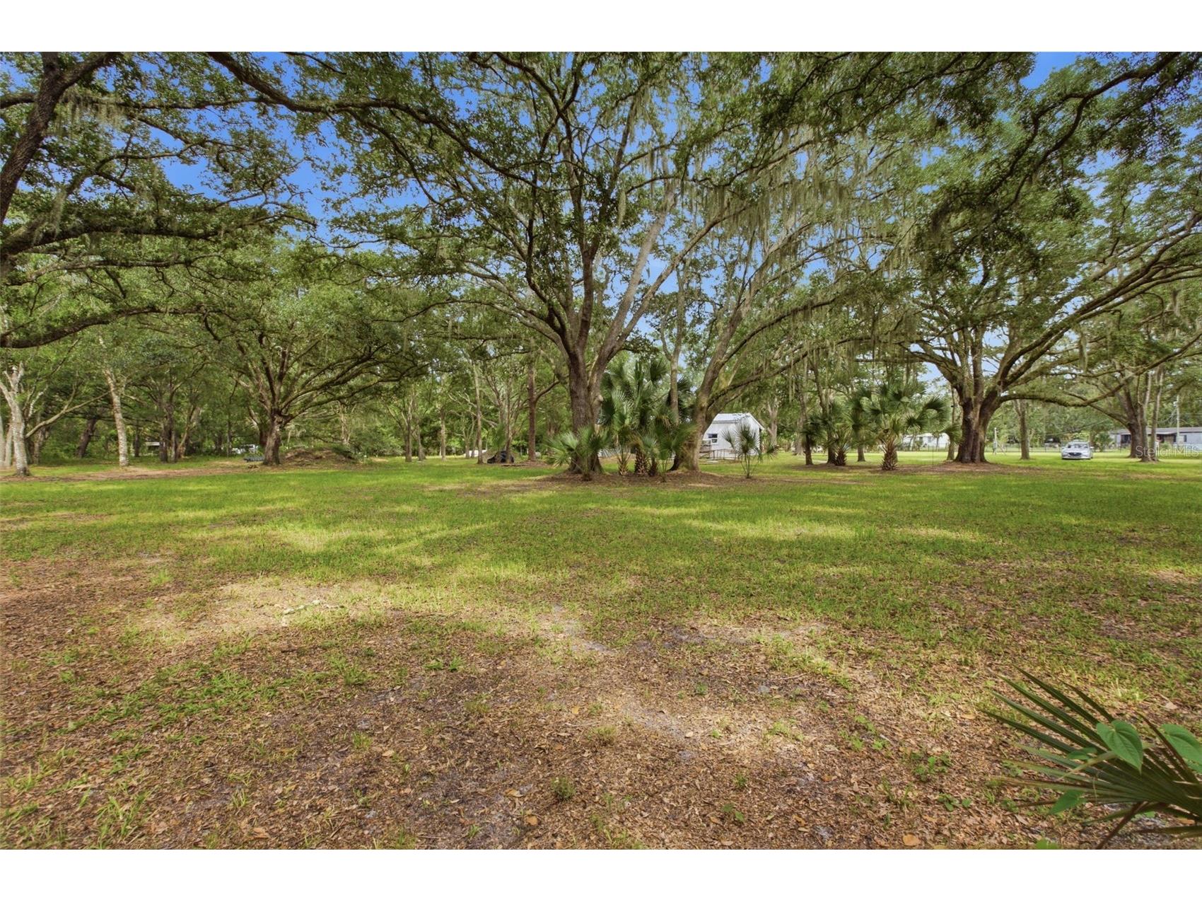 18127 Cedarhurst Road Orlando FL 32820 O6419409 image24