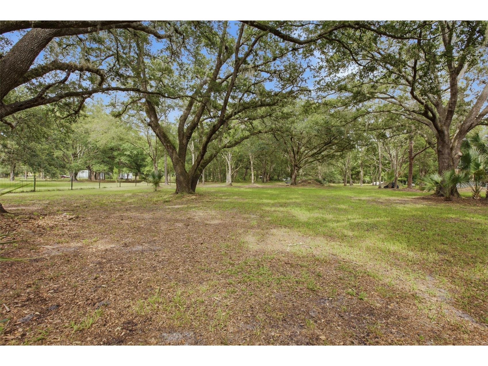 18127 Cedarhurst Road Orlando FL 32820 O6419409 image25