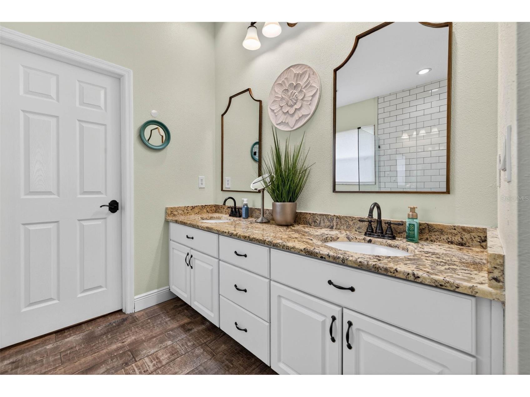 18127 Heron Walk Drive Tampa FL 33647 TB8516287 image20
