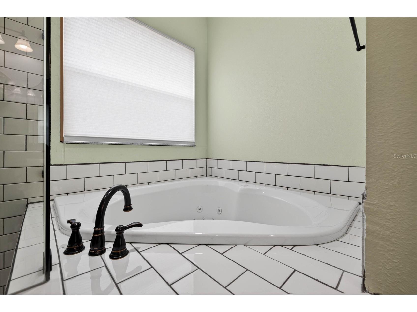 18127 Heron Walk Drive Tampa FL 33647 TB8516287 image21