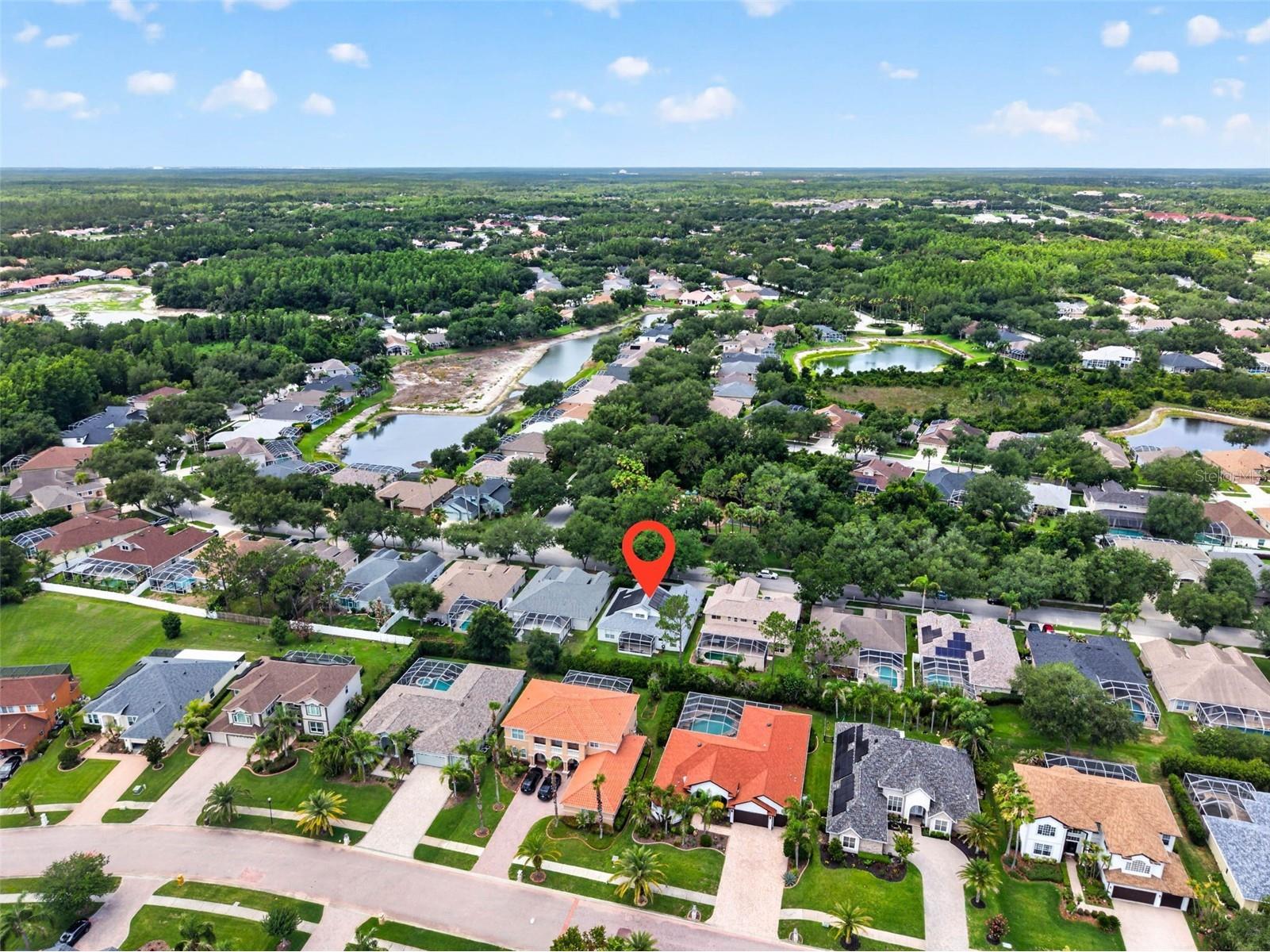 18127 Heron Walk Drive Tampa FL 33647 TB8516287 image37