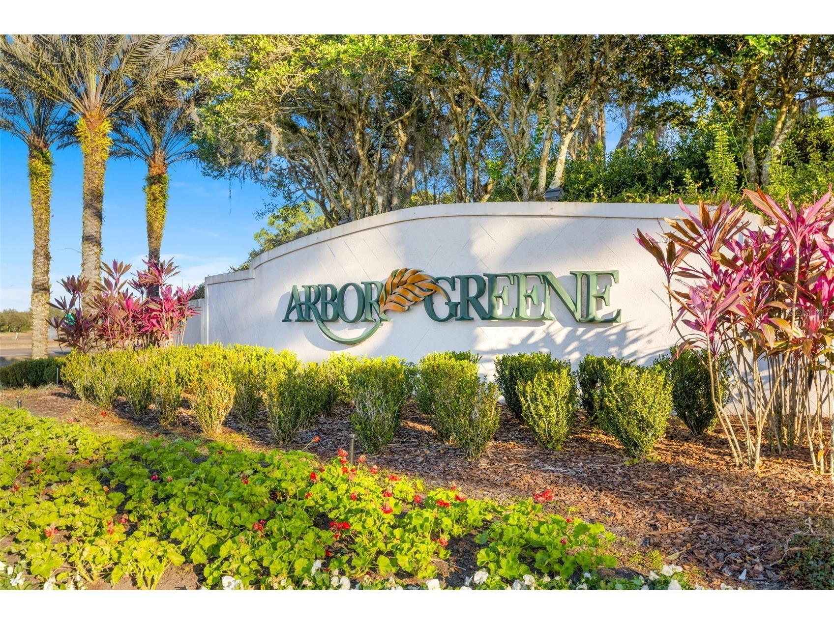 18127 Heron Walk Drive Tampa FL 33647 TB8516287 image41
