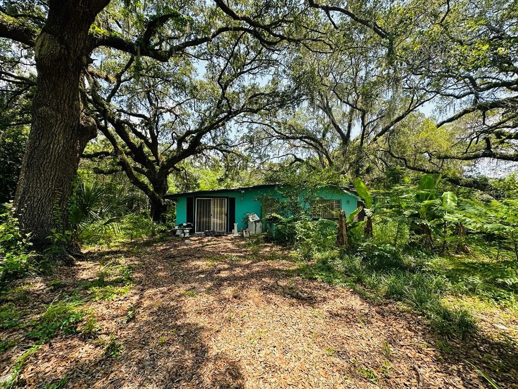 1813 Casteen Road Leesburg FL 34748 S5087126 image1