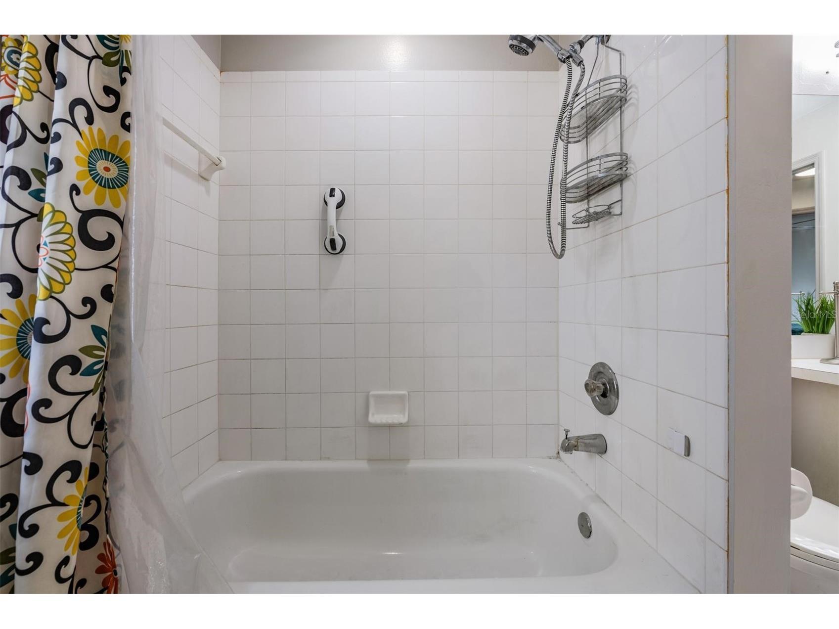 1813 Dockside Drive Valrico FL 33594 TB8469086 image25