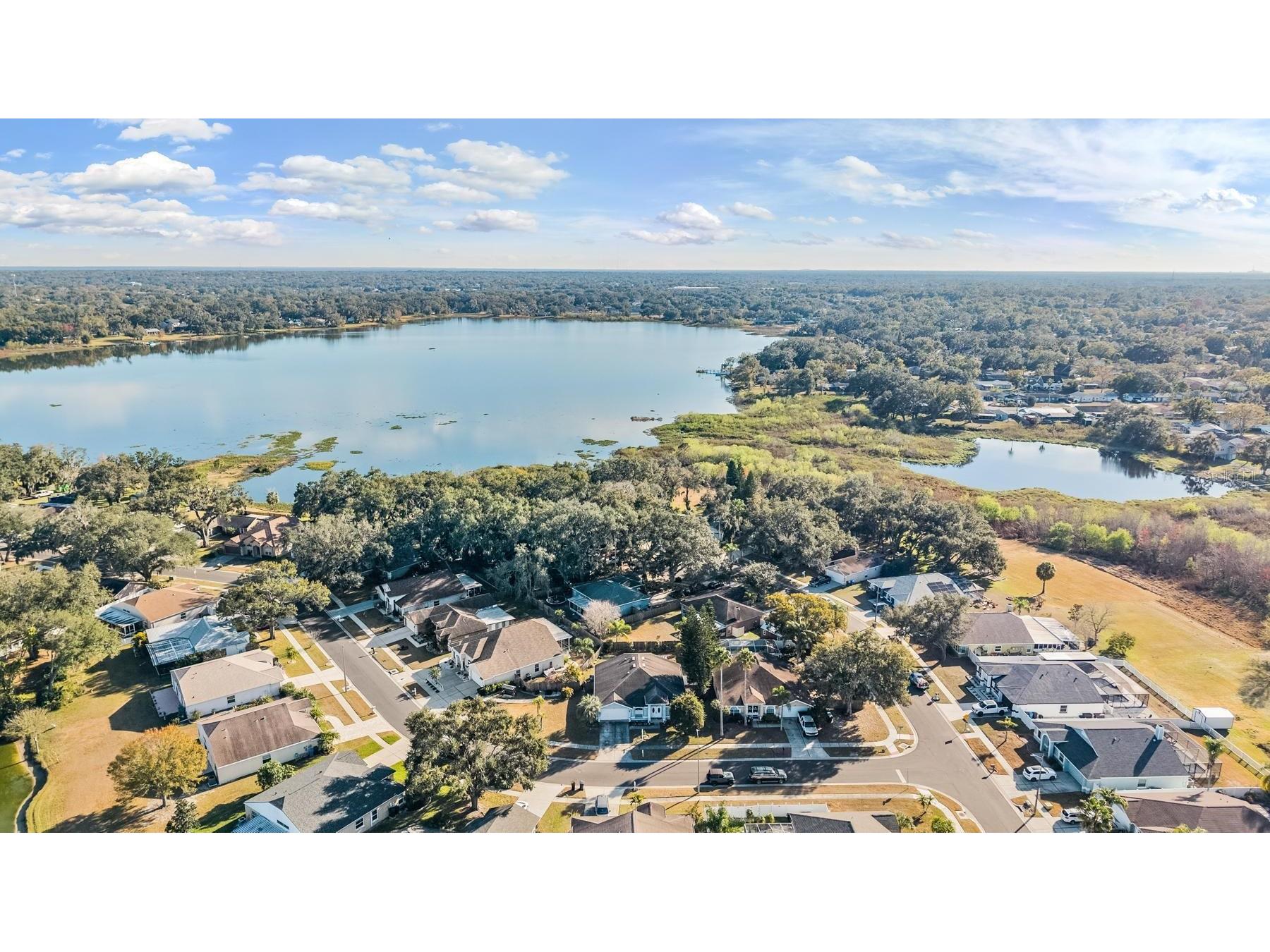 1813 Dockside Drive Valrico FL 33594 TB8469086 image43