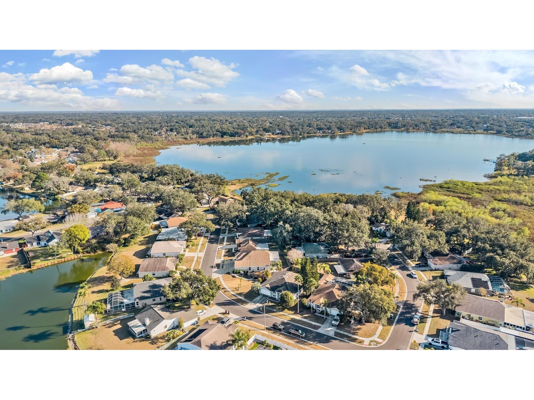 1813 Dockside Drive Valrico FL 33594 TB8469086 image45