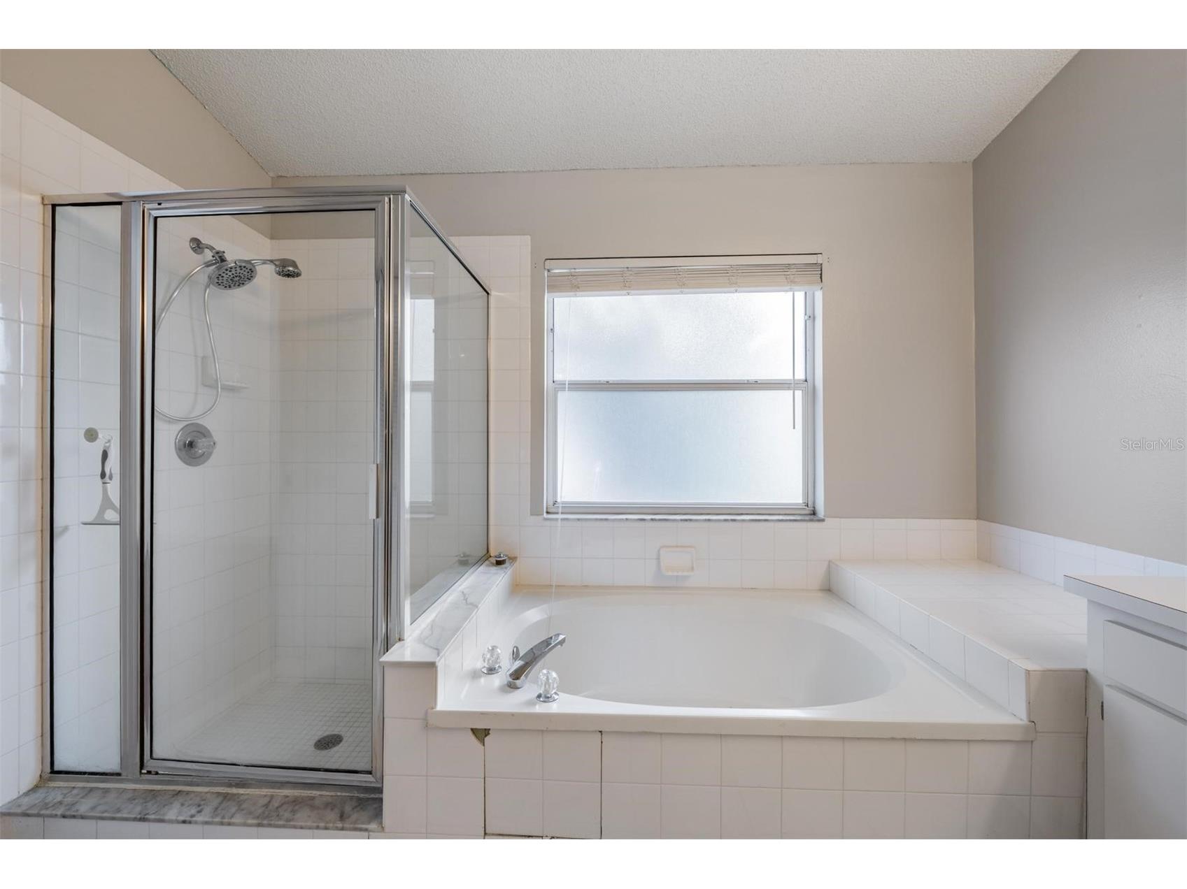 1813 Dockside Drive Valrico FL 33594 TB8469086 image8