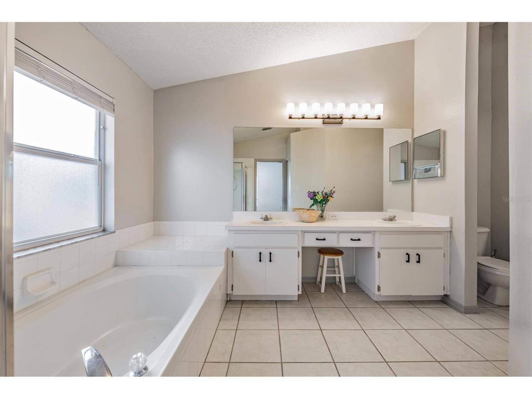 1813 Dockside Drive Valrico FL 33594 TB8469086 image9