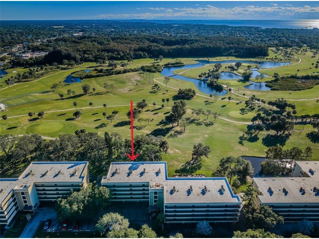 1813 Golfview Drive #1813 Tarpon Springs FL 34689 U8222855 image1