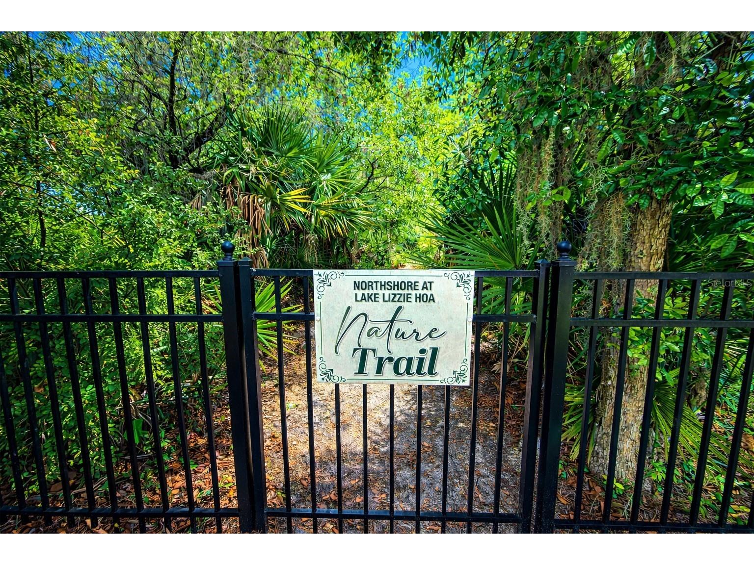 1813 Lakewood Drive Saint Cloud FL 34771 - LAKE LIZZIE - ALLIGATOR CHAIN O6397319 image41