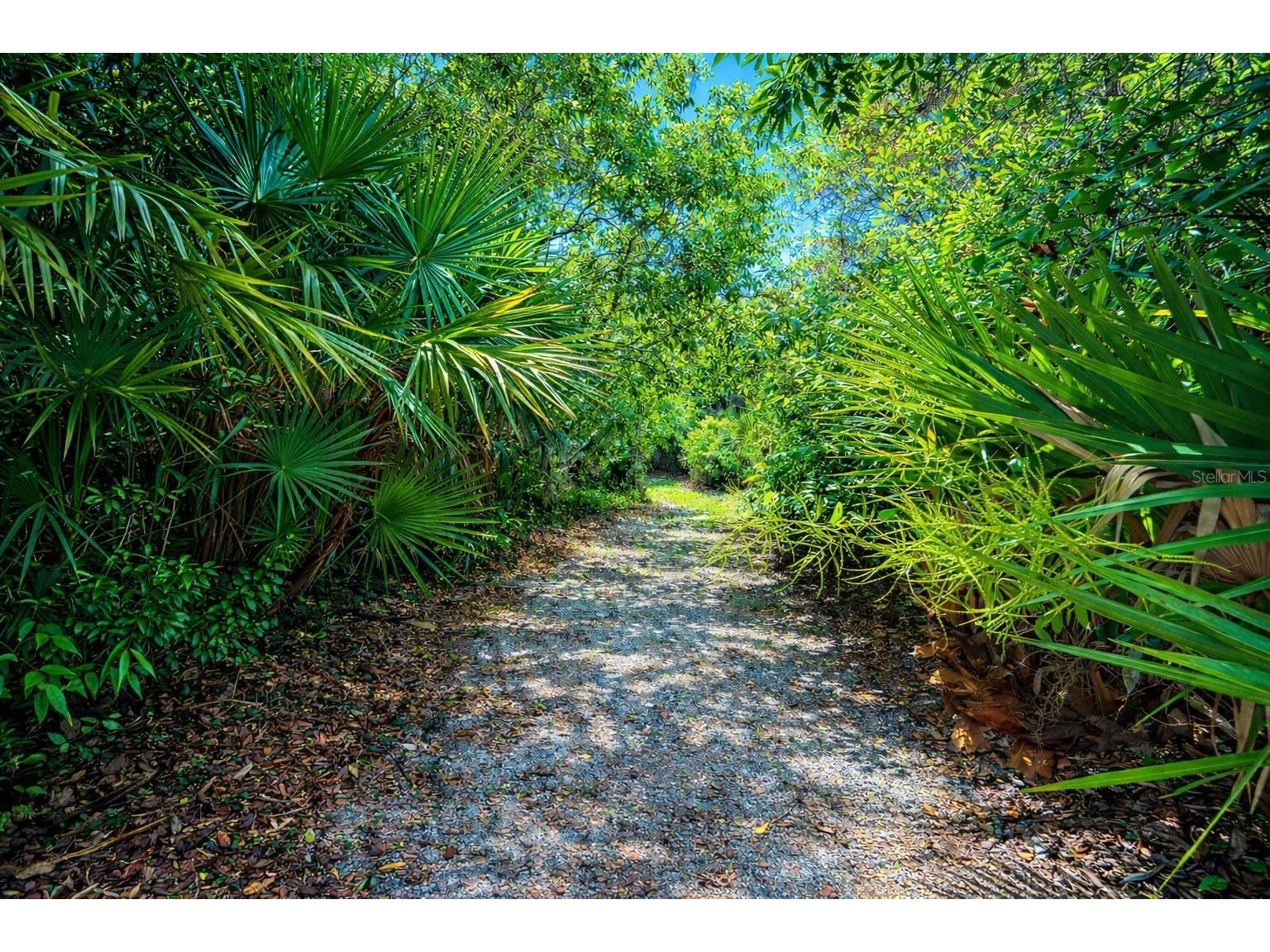 1813 Lakewood Drive Saint Cloud FL 34771 - LAKE LIZZIE - ALLIGATOR CHAIN O6397319 image42