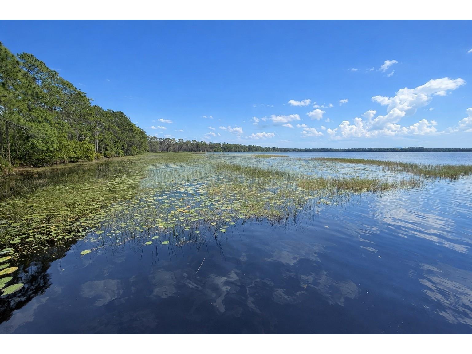 1813 Lakewood Drive Saint Cloud FL 34771 - LAKE LIZZIE - ALLIGATOR CHAIN O6397319 image49