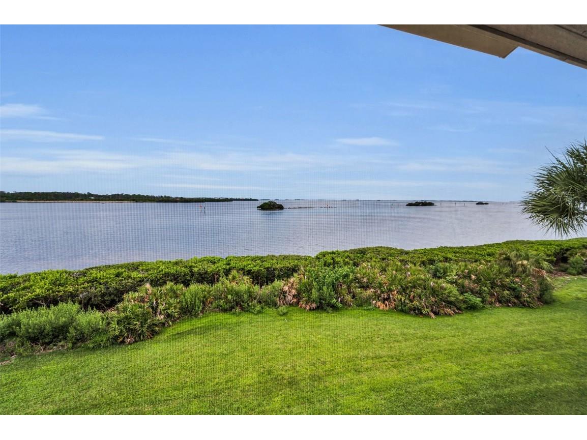 1813 Mariner Drive #146 Tarpon Springs FL 34689 W7877118 image21