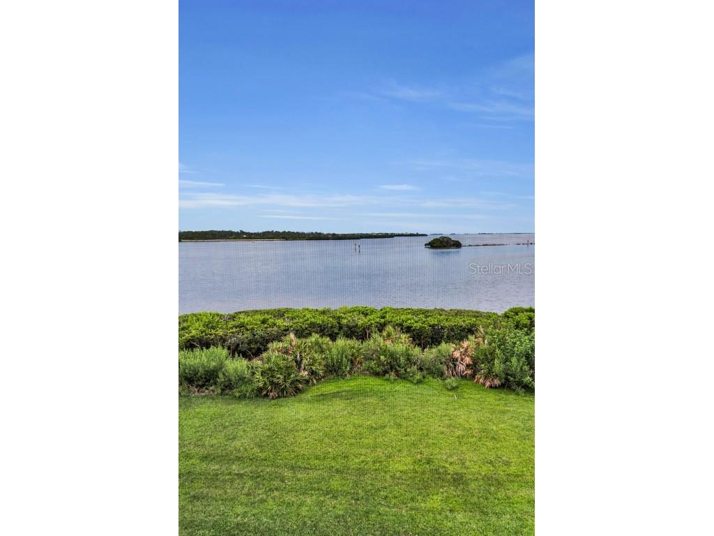 1813 Mariner Drive #146 Tarpon Springs FL 34689 W7877118 image22