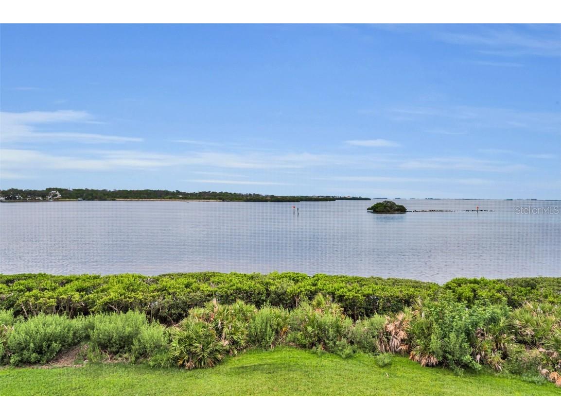 1813 Mariner Drive #146 Tarpon Springs FL 34689 W7877118 image23