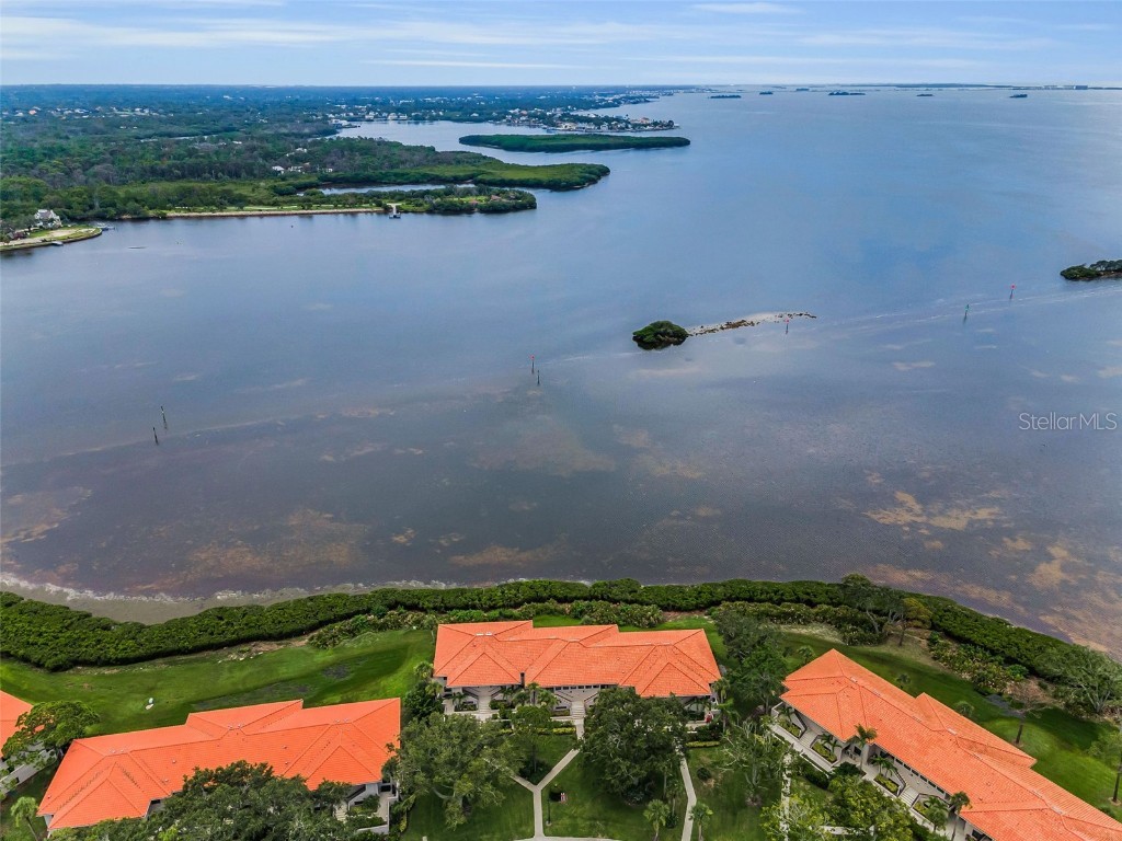 1813 Mariner Drive #146 Tarpon Springs FL 34689 W7877118 image52