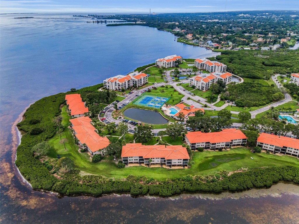 1813 Mariner Drive #146 Tarpon Springs FL 34689 W7877118 image55