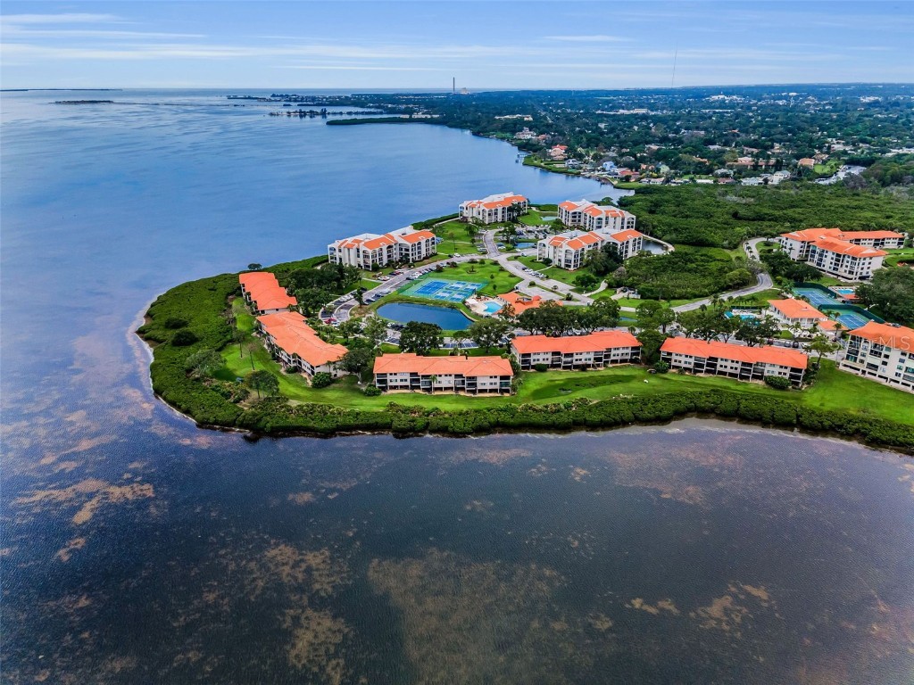 1813 Mariner Drive #146 Tarpon Springs FL 34689 W7877118 image56