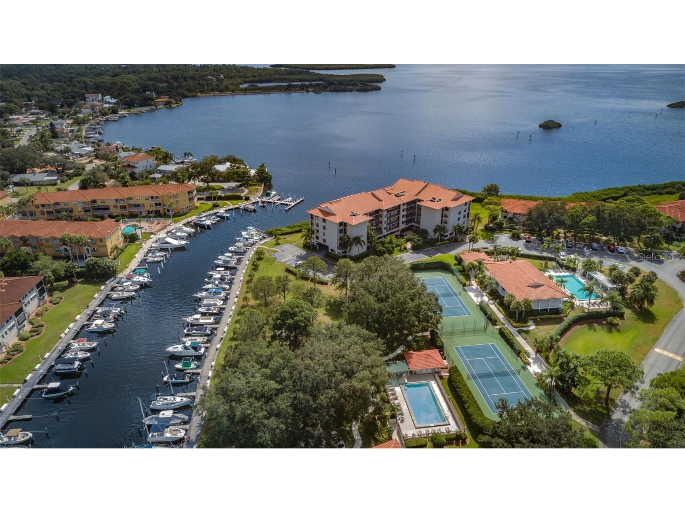 1813 Mariner Drive #146 Tarpon Springs FL 34689 W7877118 image75