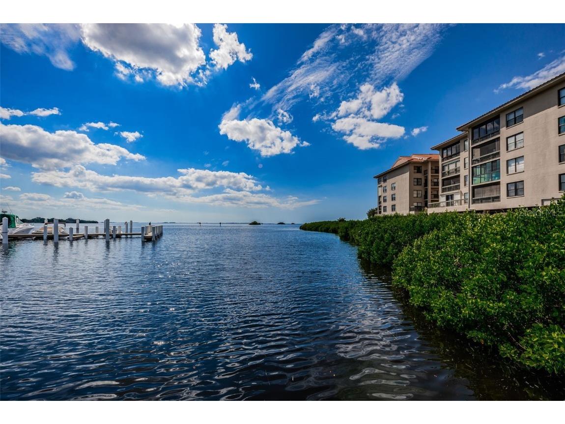 1813 Mariner Drive #146 Tarpon Springs FL 34689 W7877118 image76
