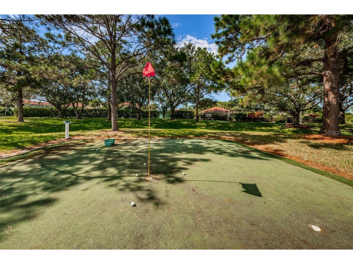 1813 Mariner Drive #146 Tarpon Springs FL 34689 W7877118 image77