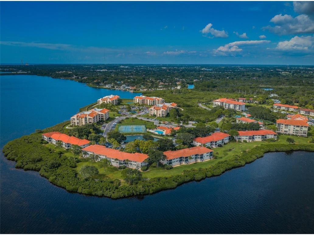 1813 Mariner Drive #146 Tarpon Springs FL 34689 W7877118 image79