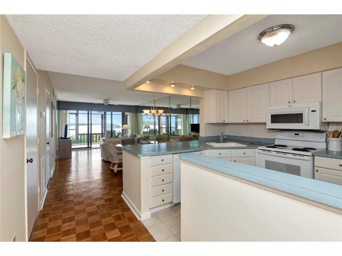 1813 Mariner Drive #147 Tarpon Springs FL 34689 - GULF OF MEXICO TB8445946 image8