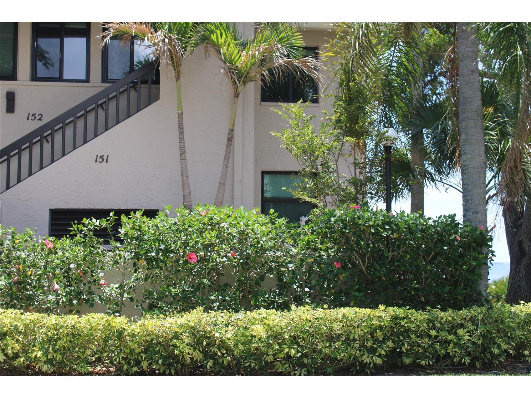 1813 Mariner Drive #151 Tarpon Springs FL 34689 TB8508966 image1